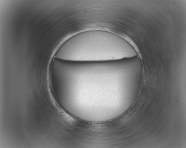 X0000074971096200609011010