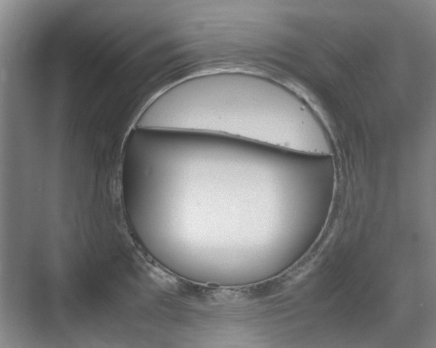 X0000074971097200609011010