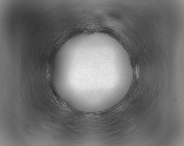 X0000074971107200609011009