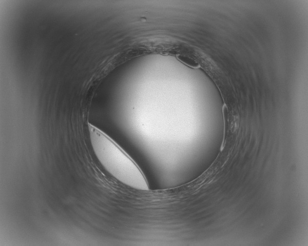X0000074971108200609011009