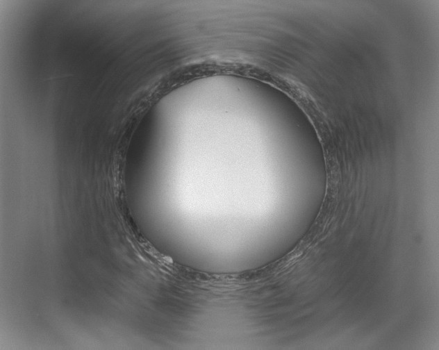 X0000074971110200609011009