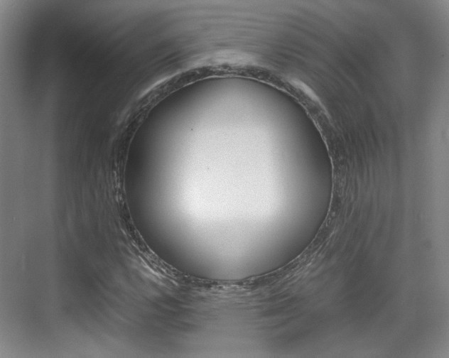 X0000074971112200609011009