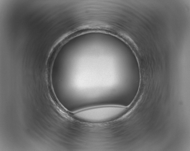 X0000074971114200609011009