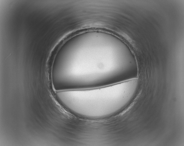 X0000074971118200609011009