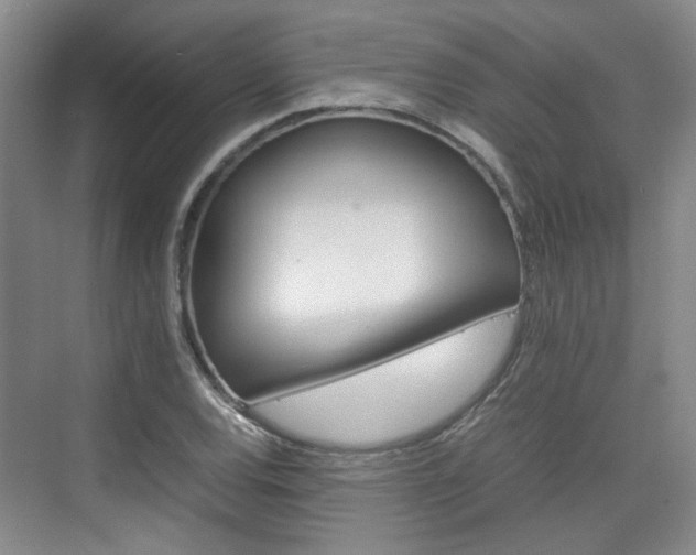 X0000074971120200609011009