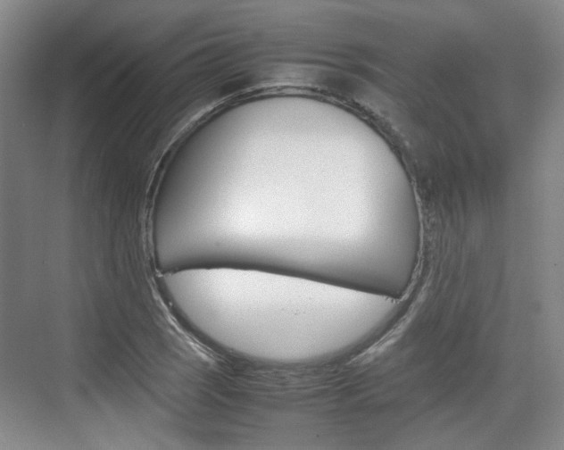 X0000074971121200609011009
