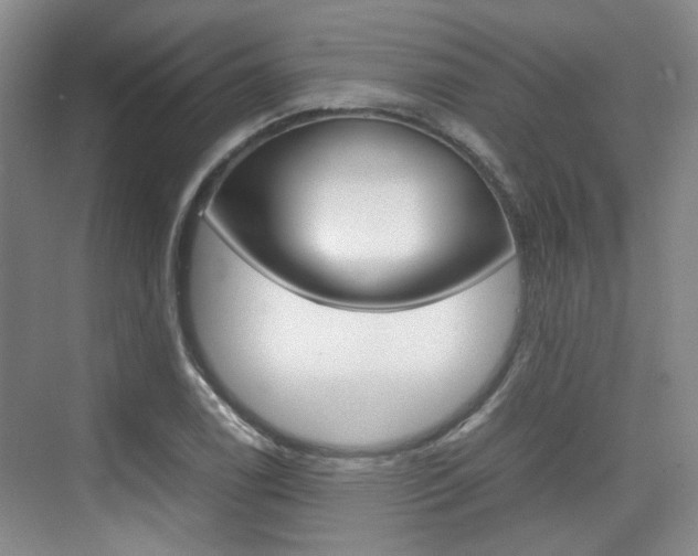 X0000074971122200609011009