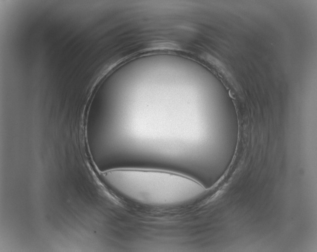 X0000074971129200609011009