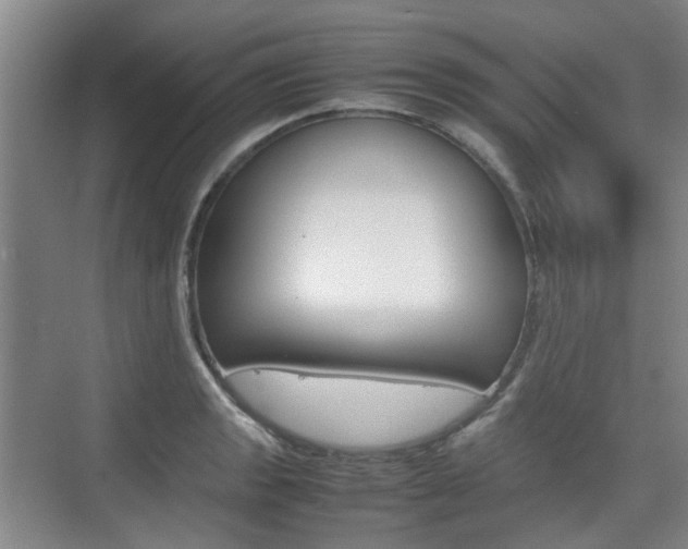 X0000074971133200609011009