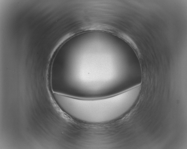 X0000074971138200609011009