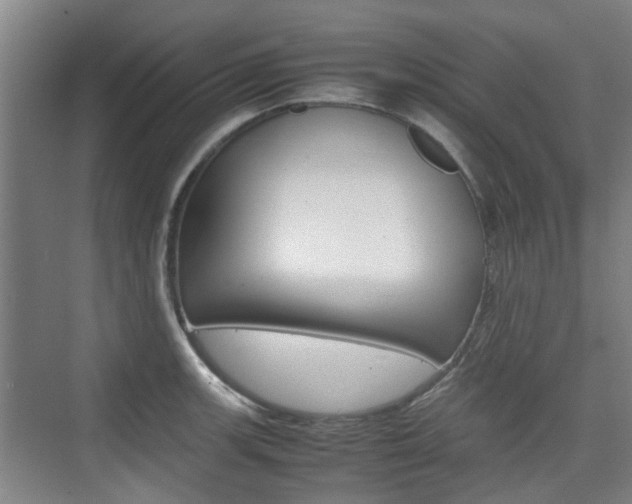 X0000074971139200609011010
