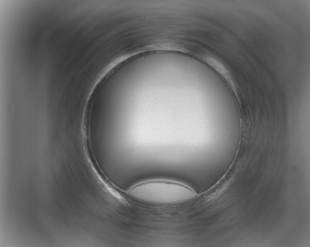 X0000074971141200609011010