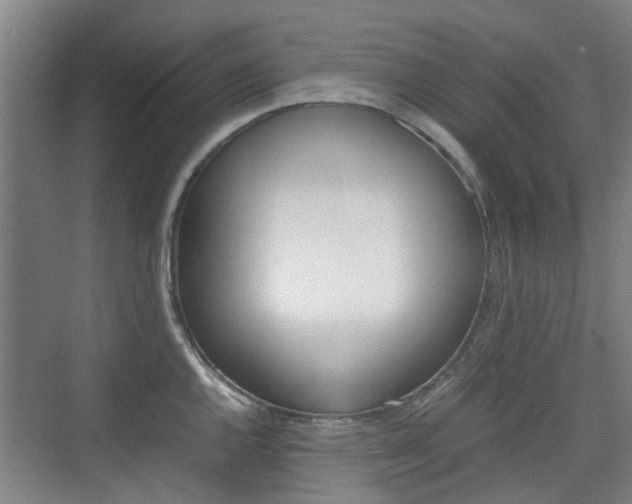 X0000074971144200609011010