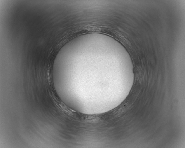X0000074971154200609011009