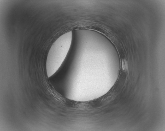 X0000074971155200609011009