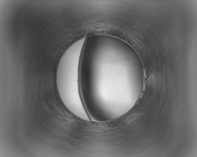 X0000074971156200609011009
