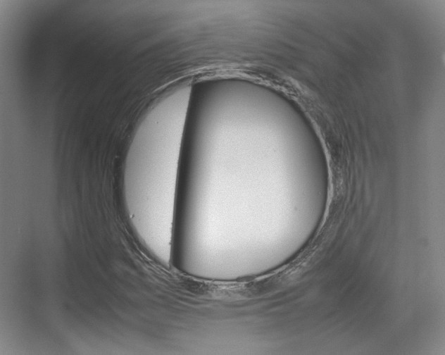 X0000074971161200609011009