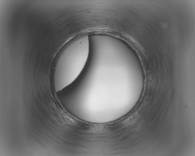 X0000074971162200609011009