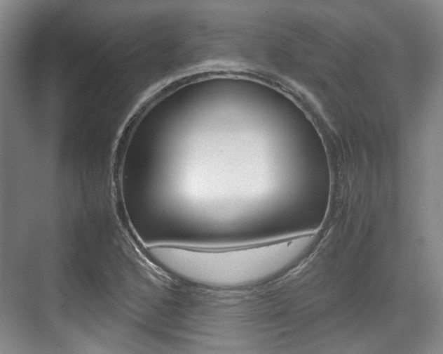 X0000074971168200609011009