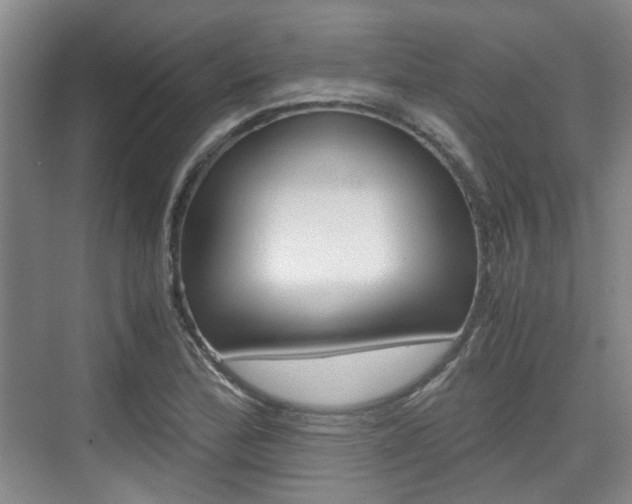 X0000074971172200609011009