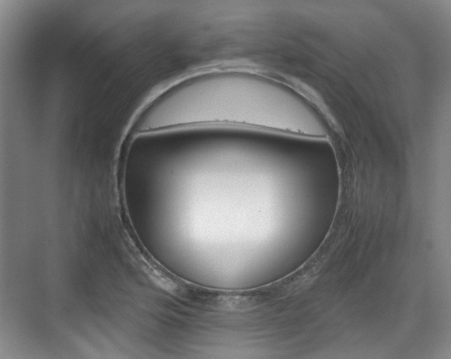 X0000074971176200609011009