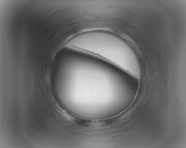 X0000074971177200609011009