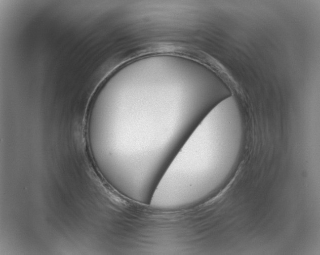 X0000074971178200609011008