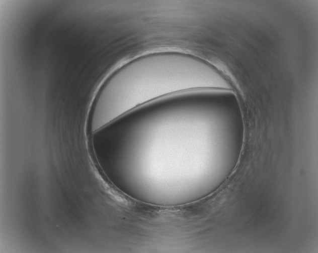 X0000074971181200609011008