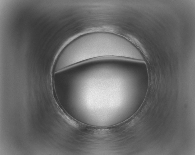 X0000074971184200609011008