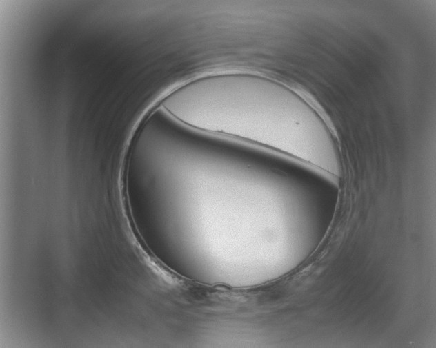 X0000074971197200609011008