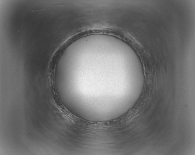 X0000074971208200609011007