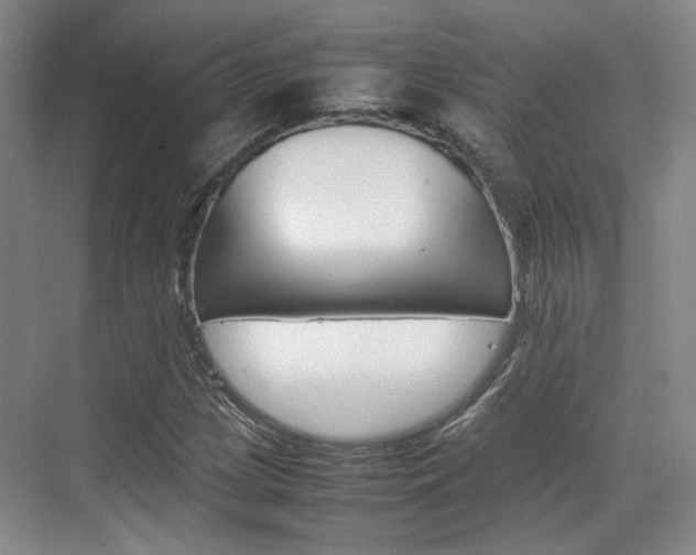 X0000074971209200609011007