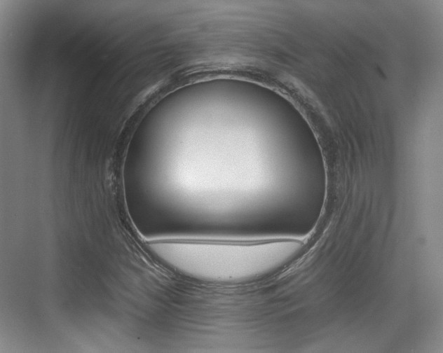 X0000074971210200609011007