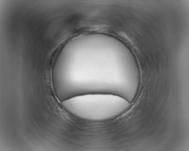 X0000074971211200609011007