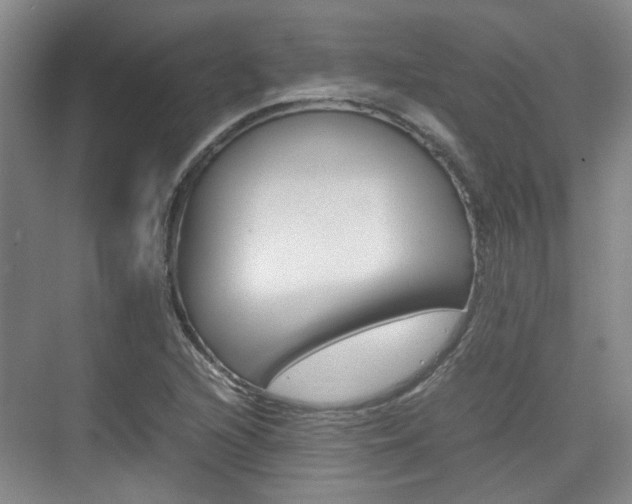 X0000074971216200609011008
