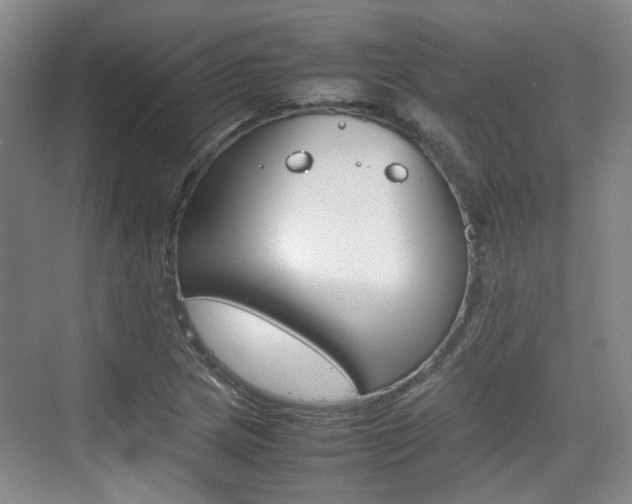 X0000074971217200609011008