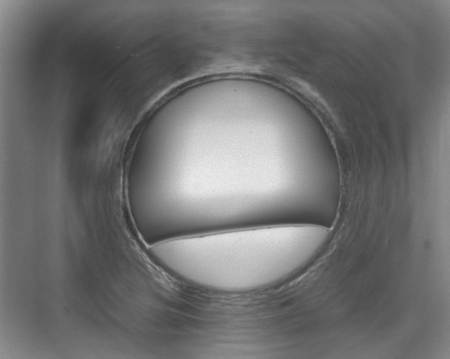 X0000074971220200609011008