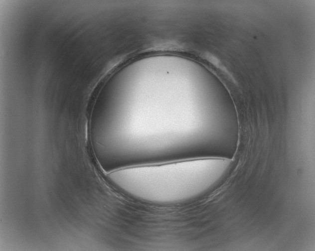 X0000074971221200609011008