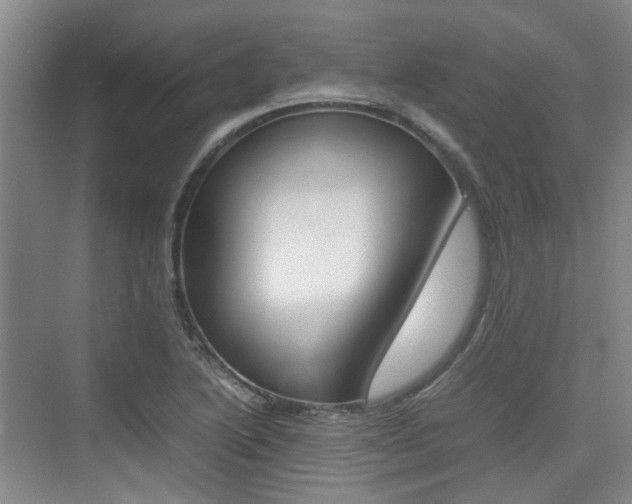 X0000074971222200609011008