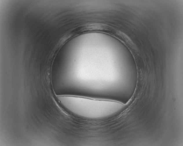 X0000074971225200609011008