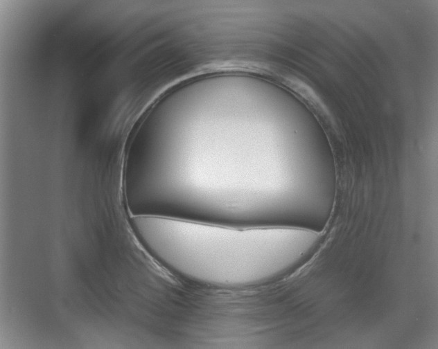 X0000074971228200609011008
