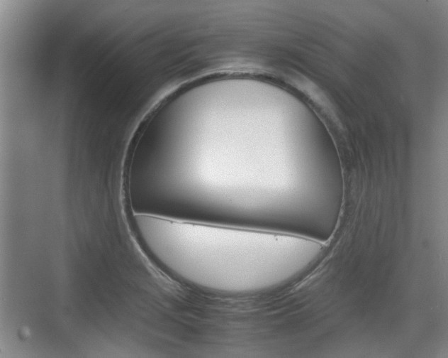 X0000074971229200609011008
