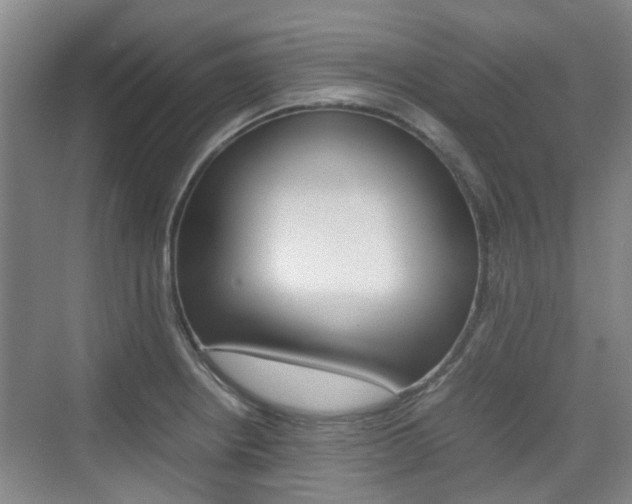 X0000074971234200609011008