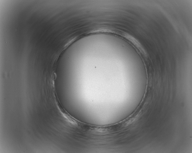 X0000074971241200609011008