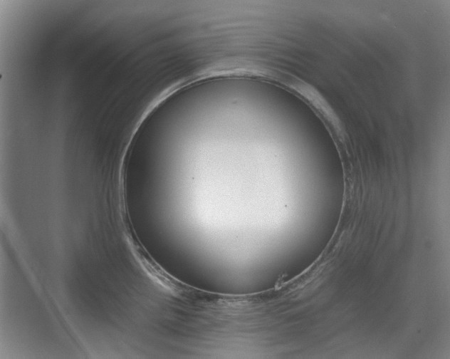 X0000074971242200609011008