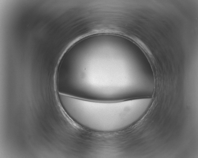 X0000074971246200609011008