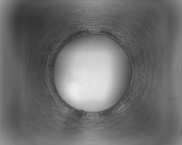 X0000074971249200609011007