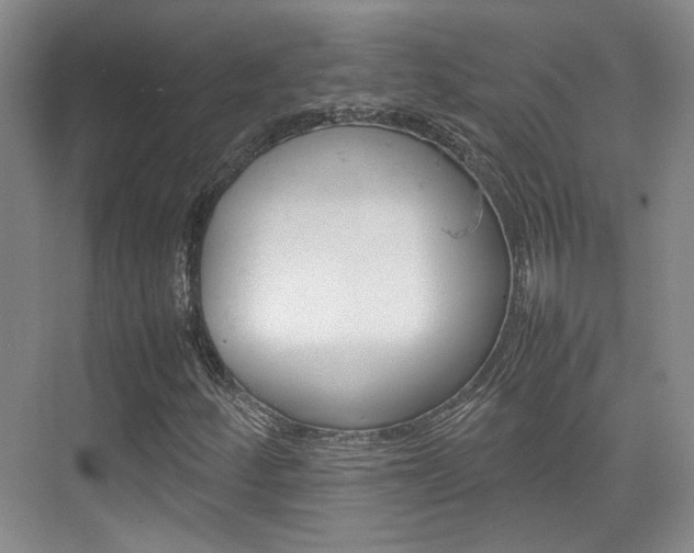 X0000074971252200609011007