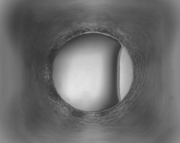 X0000074971253200609011007