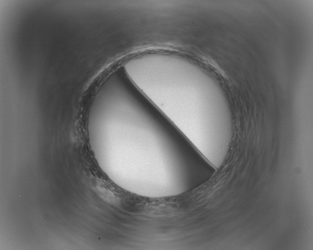 X0000074971256200609011007